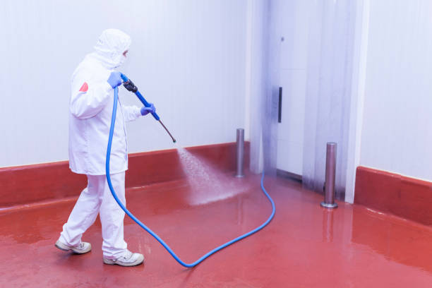 Best Patio and Deck Pressure Washing  in Algonac, MI