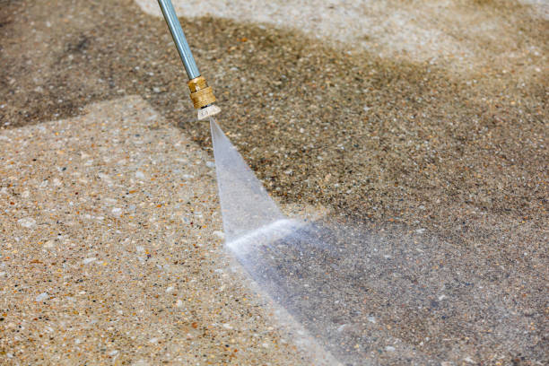 Pre-Holiday Cleaning in Algonac, MI