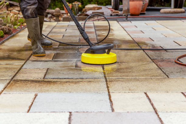 Best Playground Equipment Cleaning  in Algonac, MI