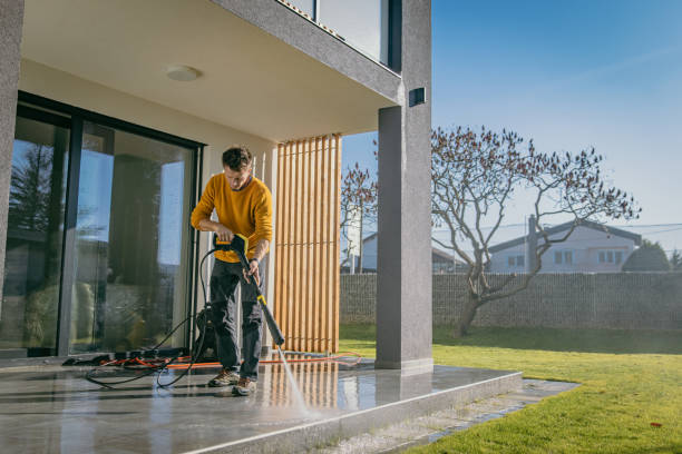 Best Dumpster Area Cleaning  in Algonac, MI