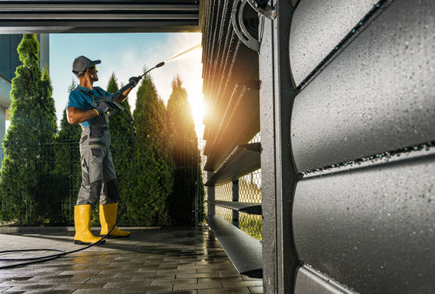 Best Fence Cleaning  in Algonac, MI